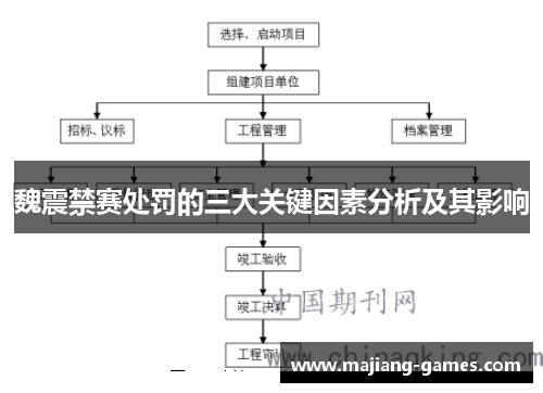 魏震禁赛处罚的三大关键因素分析及其影响