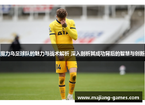 魔力鸟足球队的魅力与战术解析 深入剖析其成功背后的智慧与创新