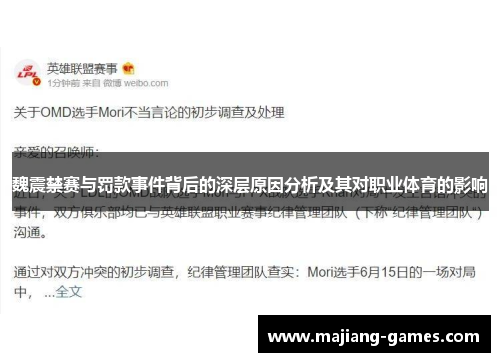 魏震禁赛与罚款事件背后的深层原因分析及其对职业体育的影响